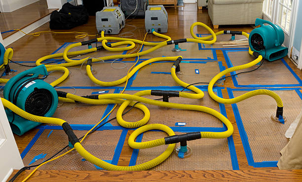Professional Storm Water Damage Restoration technician working in Palmer, TX